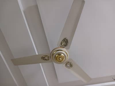 2 original Royal fans for sale