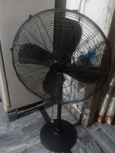 tebal fans
