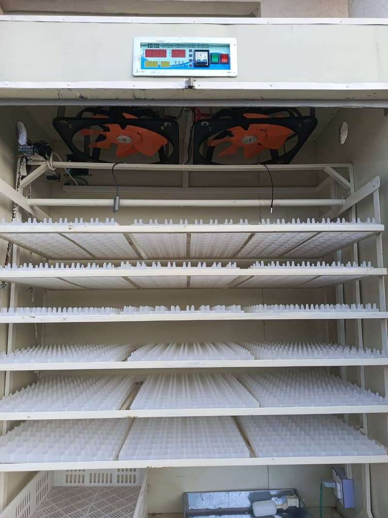 AC/DC Egg Incubator 3