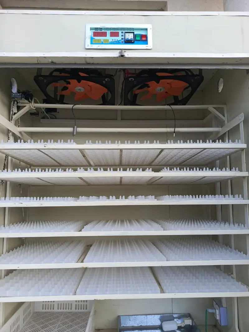 Fully Automatic Industrial Egg Incubator — photo 2