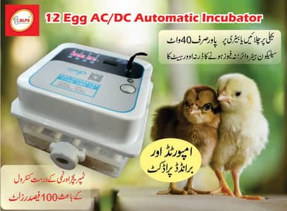 Fully Automatic Industrial Egg Incubator