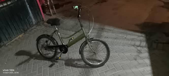 Japan cycle