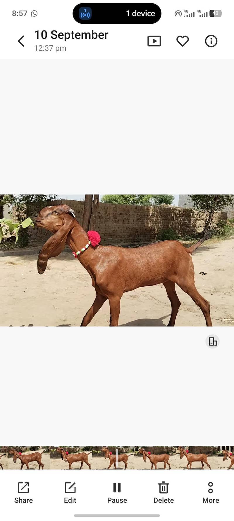 وی ائی پی سی فیمیل مادی 0