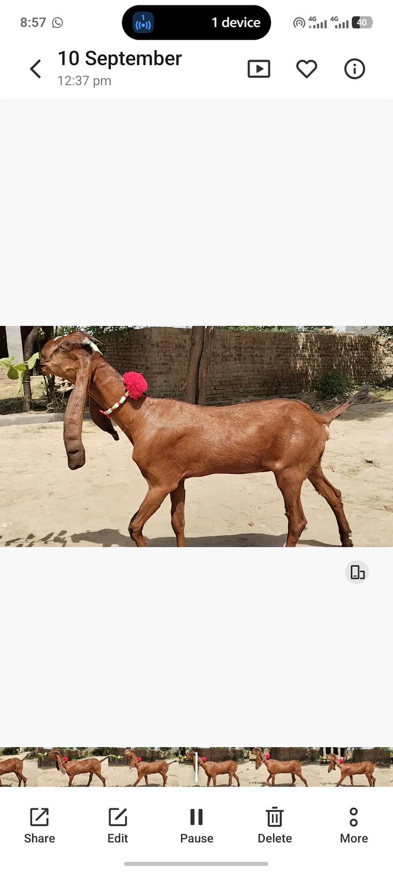 وی ائی پی سی فیمیل مادی 1