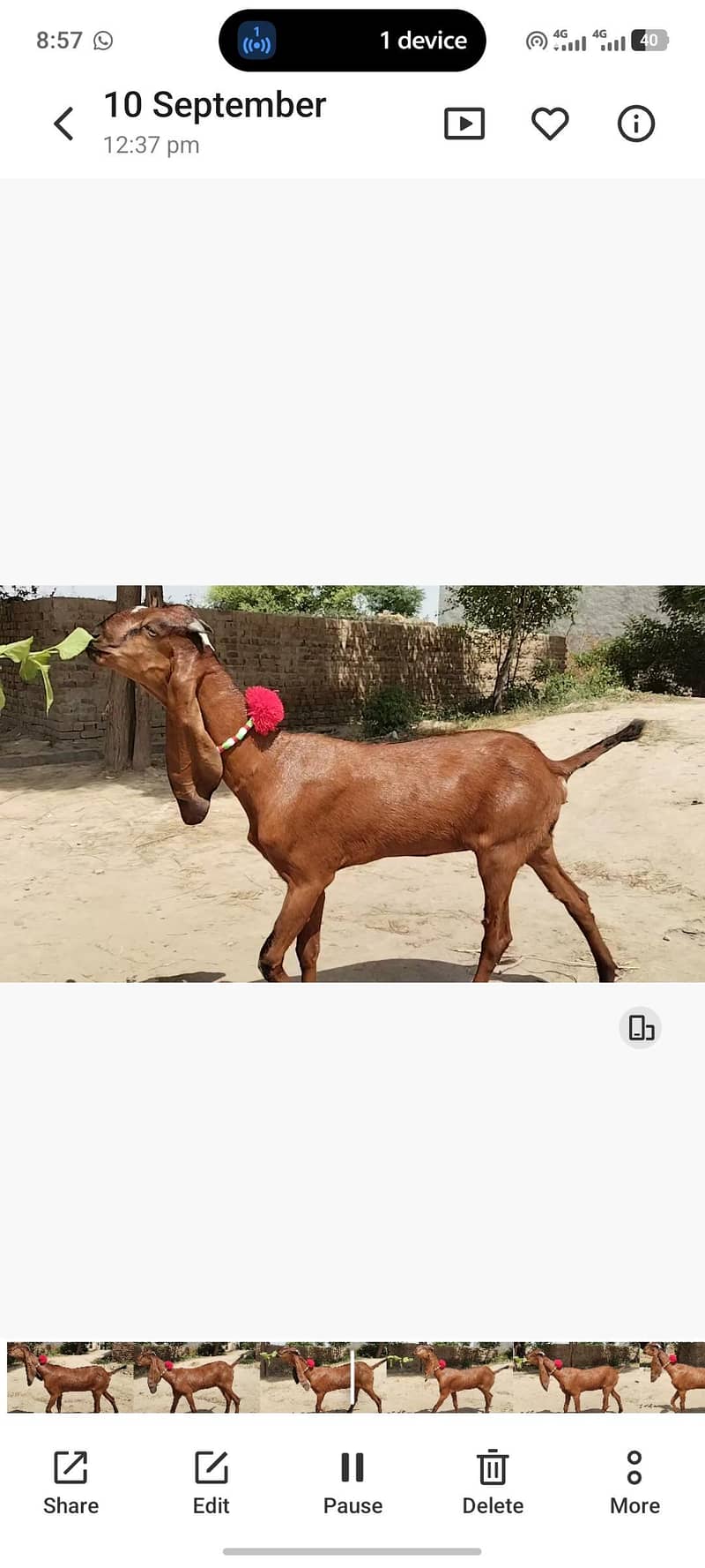 وی ائی پی سی فیمیل مادی 2