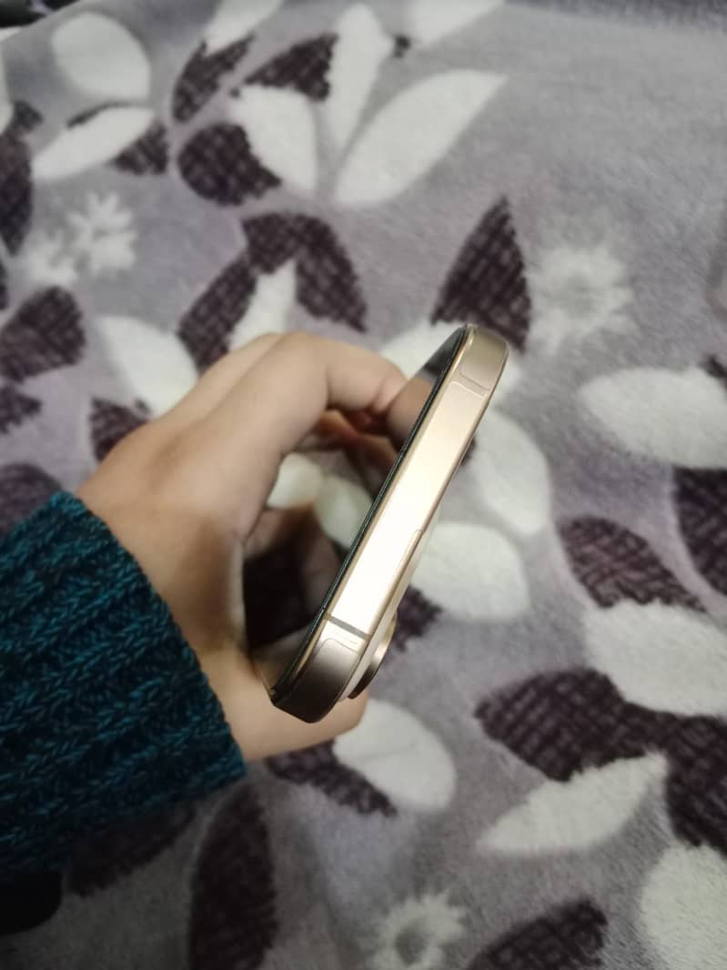 Apple iPhone 16 Pro 2