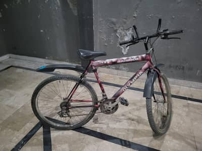 cycle for sale