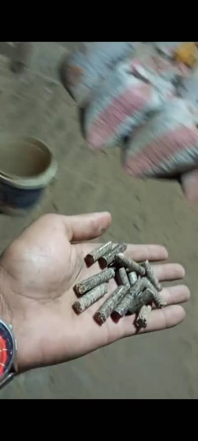 Wood pellet