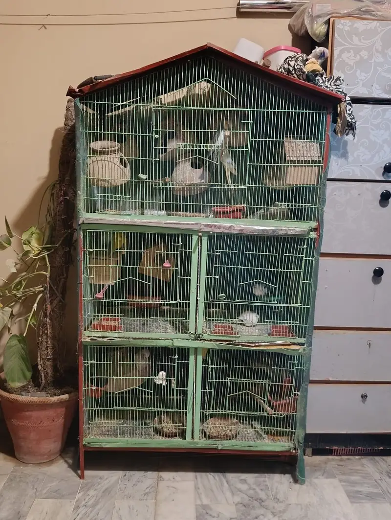 Cage for sale — photo 2