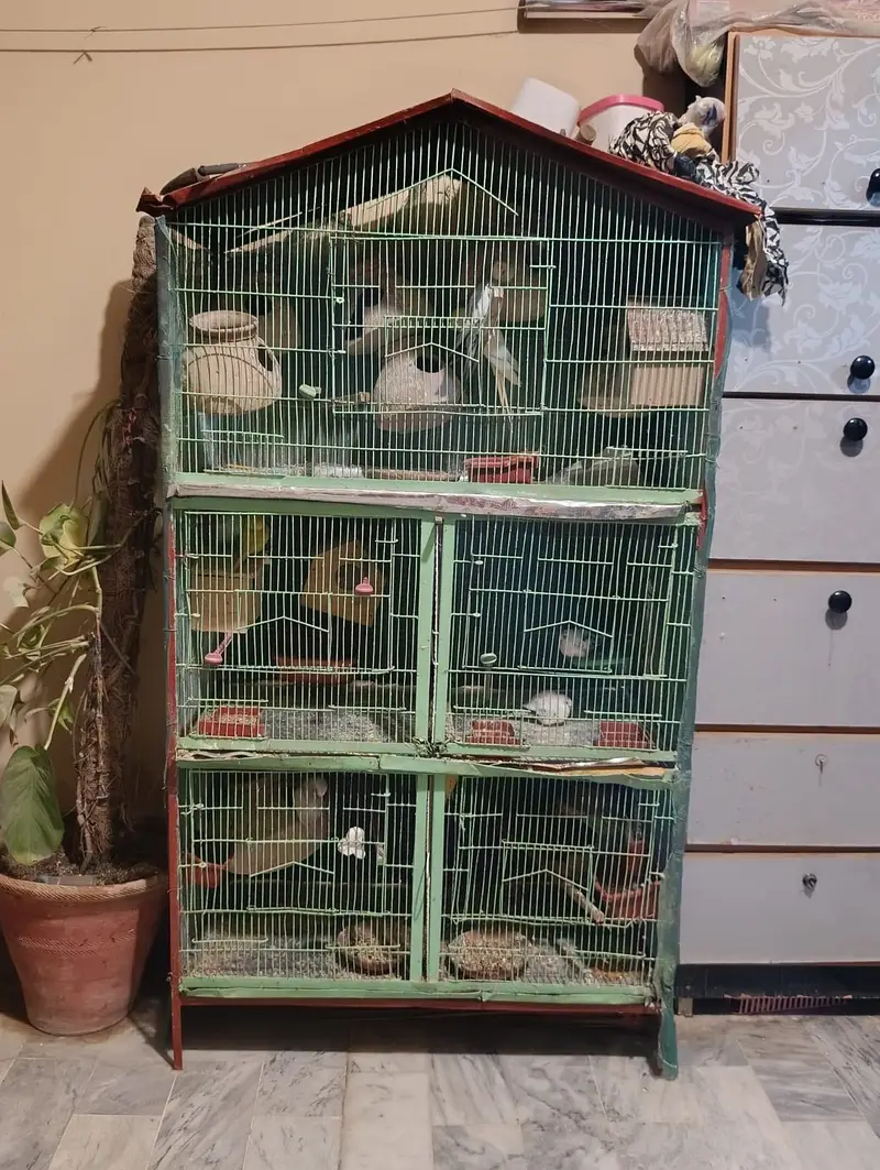 Cage for sale — photo 3
