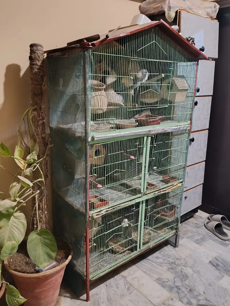 Cage for sale — photo 4