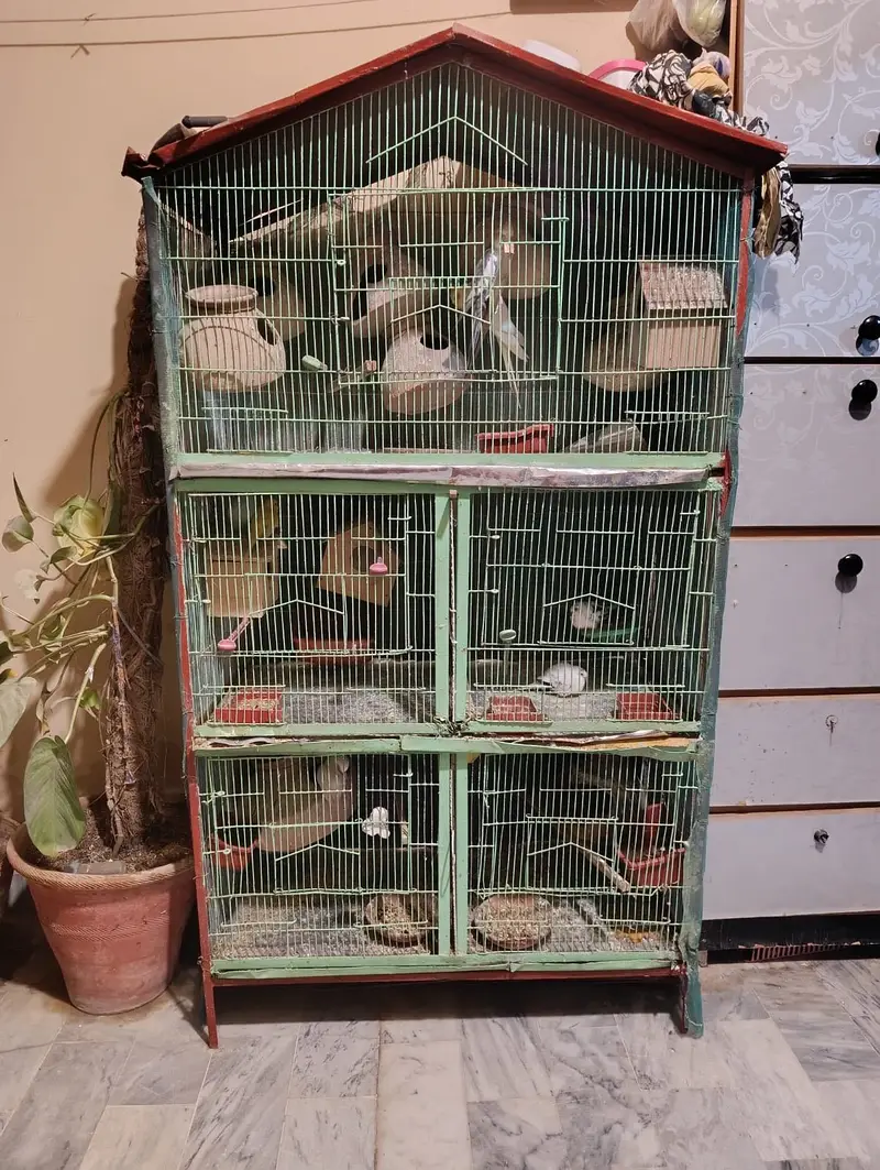 Cage for sale — photo 5