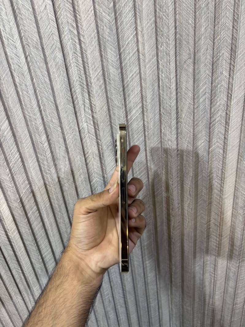 Apple iPhone 13 Pro Max 1