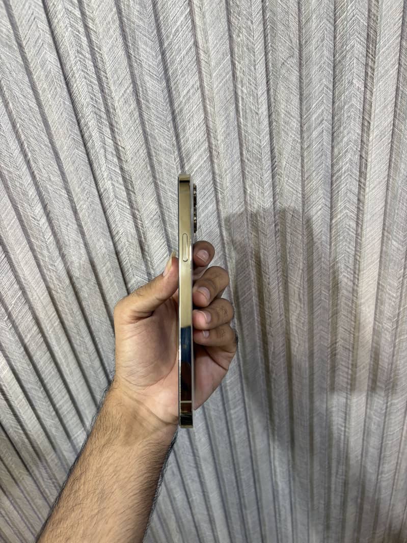 Apple iPhone 13 Pro Max 2
