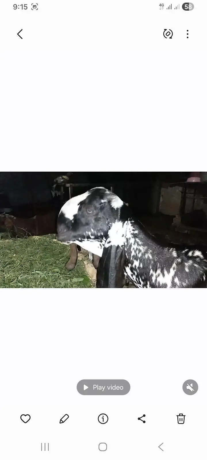 Desi Betal Bakri — photo 3