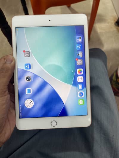 Ipad mini 5