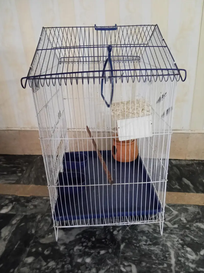 Finches cage — photo 3