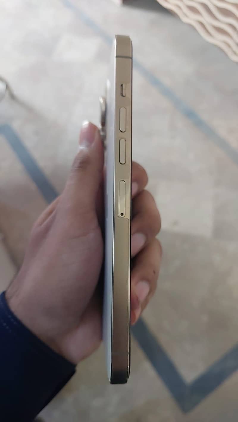 Apple iPhone 13 Pro Max 0