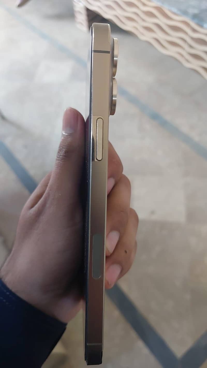 Apple iPhone 13 Pro Max 1