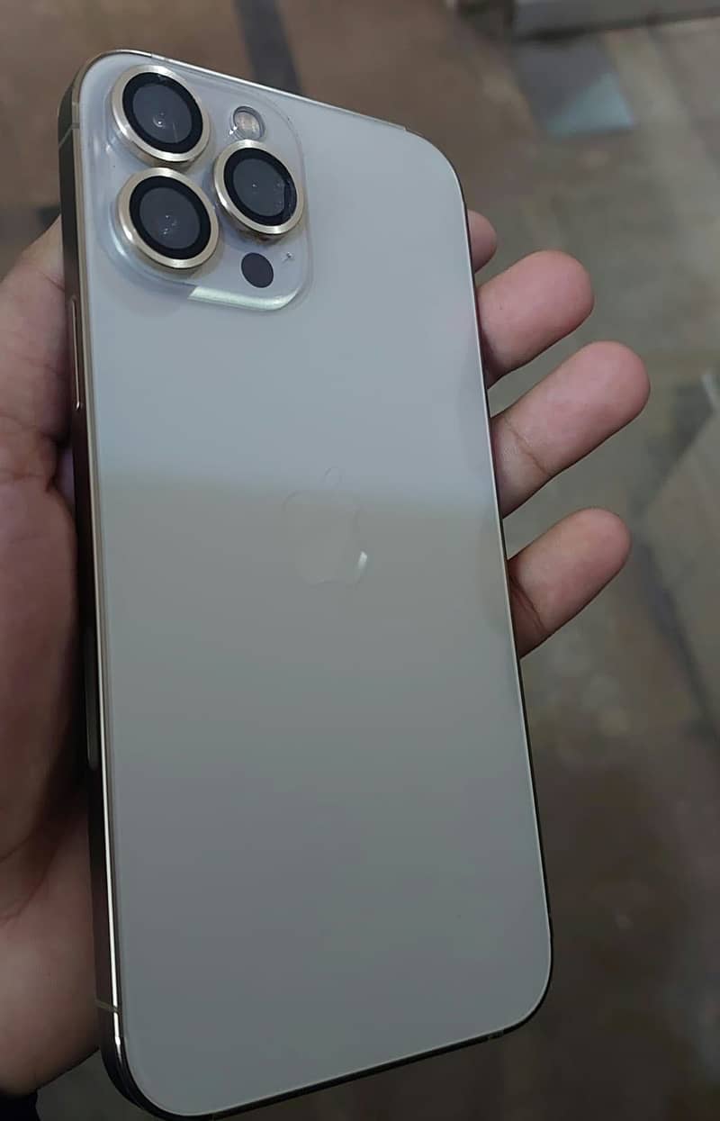 Apple iPhone 13 Pro Max 5