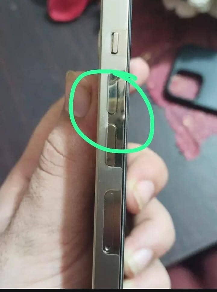 Apple iPhone 13 0