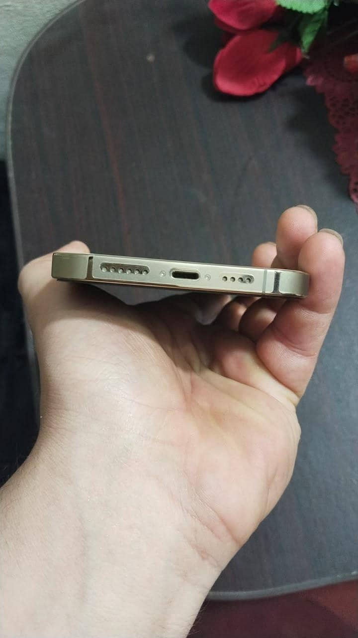 Apple iPhone 13 5