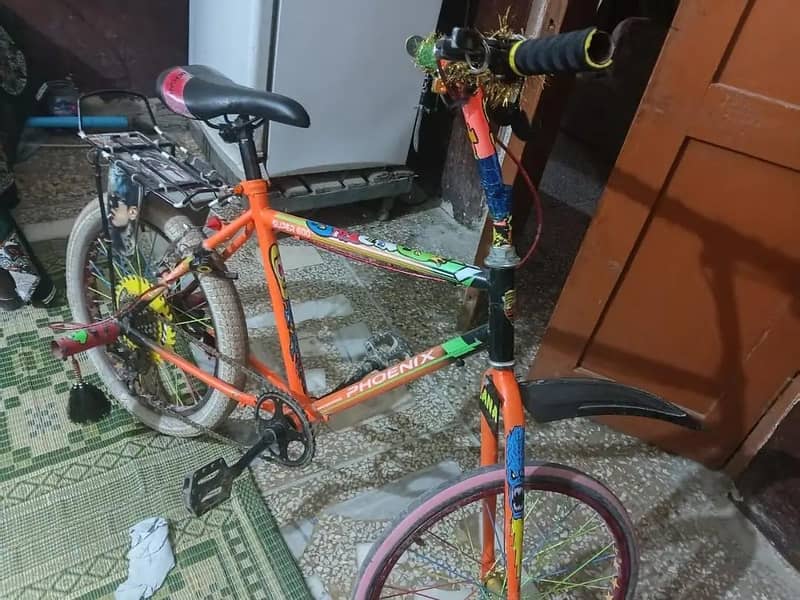 phoenix cycle 1