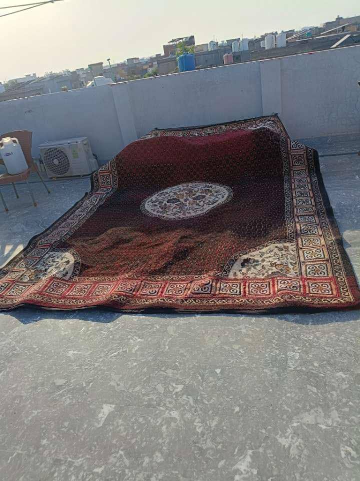 Carpet 0