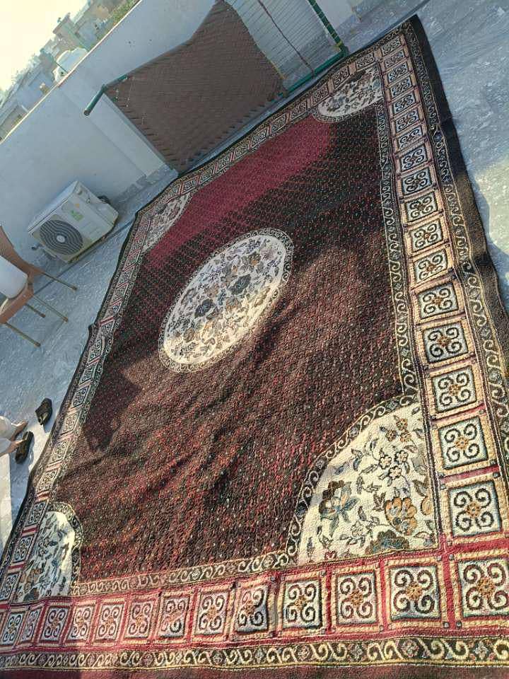Carpet 1