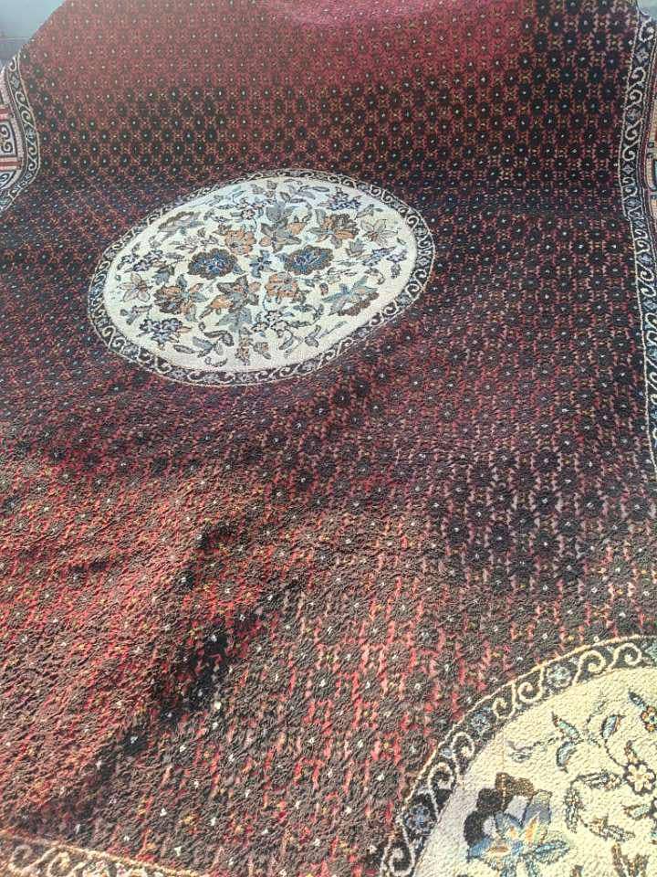 Carpet 3
