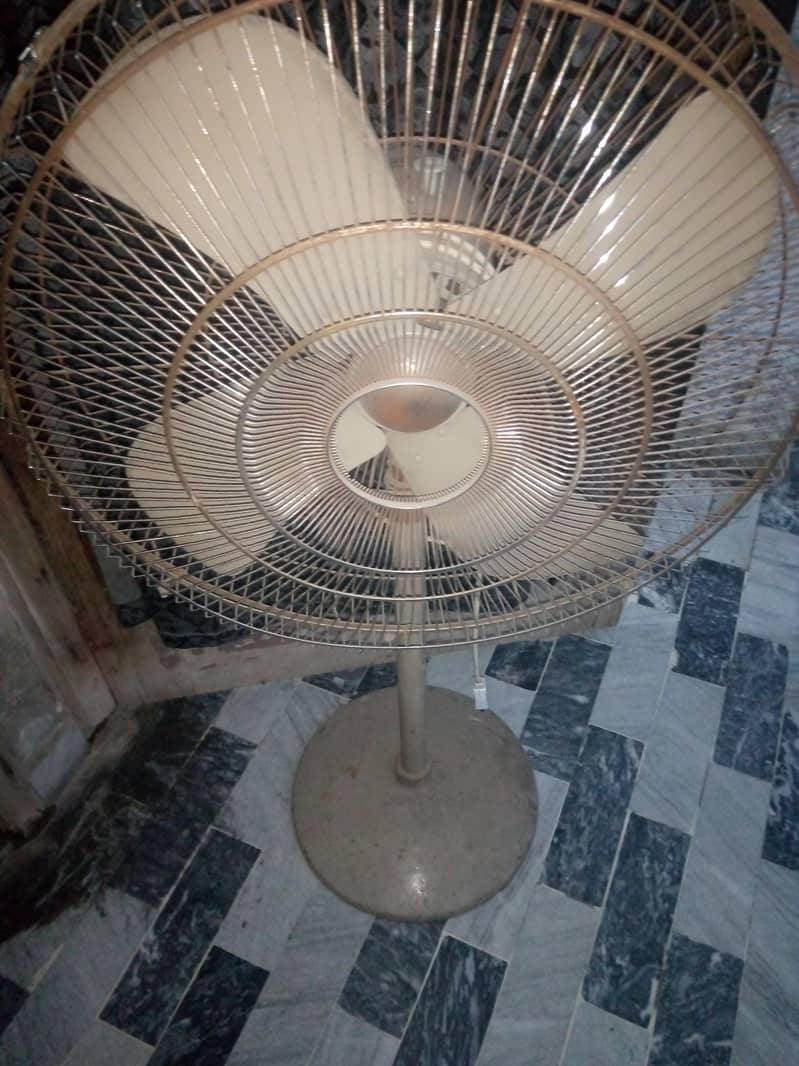 padistol 0