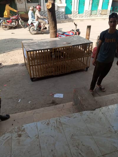 chicken shop meterial