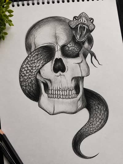 skull and snake hand made sketch