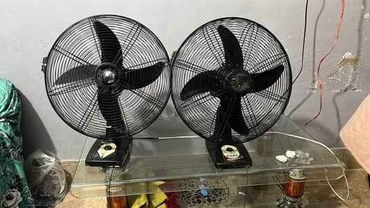 Bracket fans for sale urjant