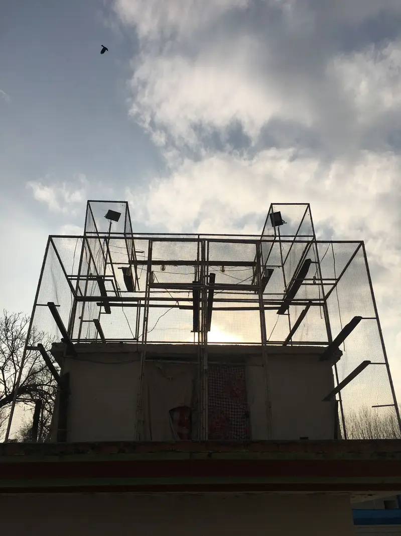 Jaal for sale — photo 2