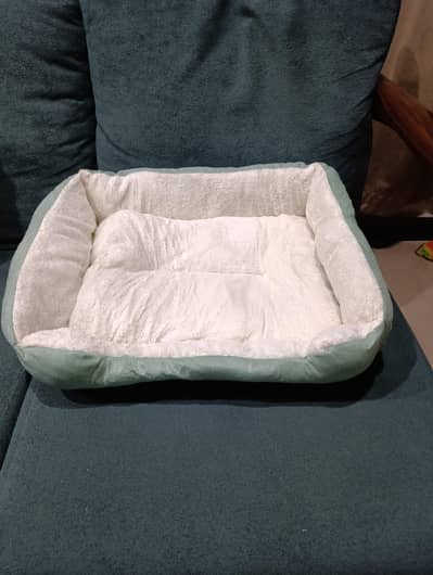 Imported bed for cats