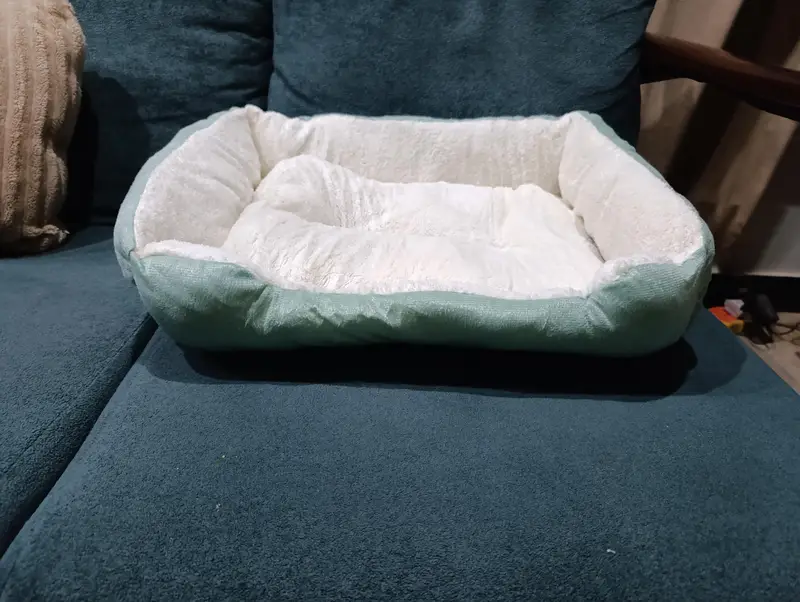 Imported bed for cats — photo 2