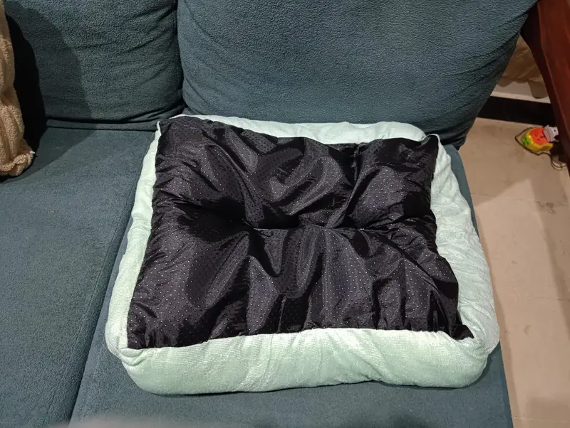 Imported bed for cats — photo 3