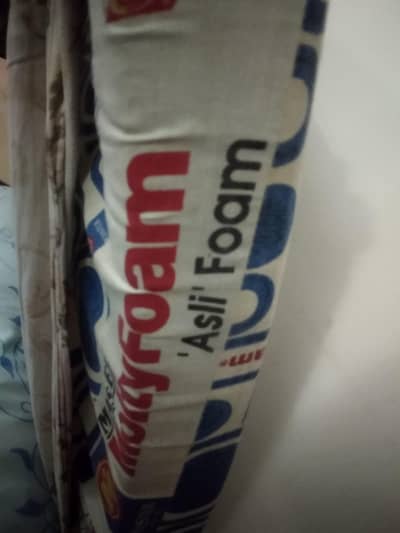 Molty Foam "Asli Foam" Size (60x72x4) inches