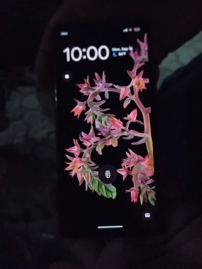 Google Pixel 6 1