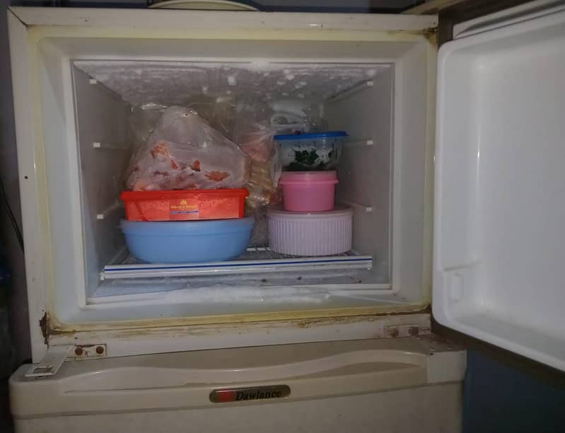 fridge 3