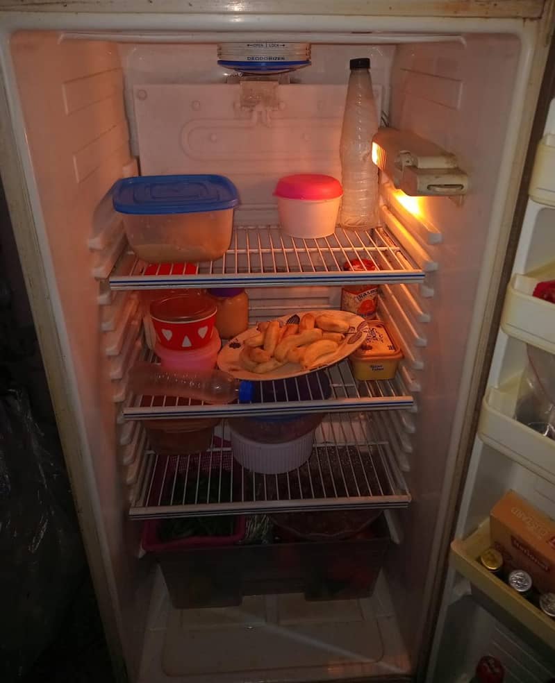fridge 4