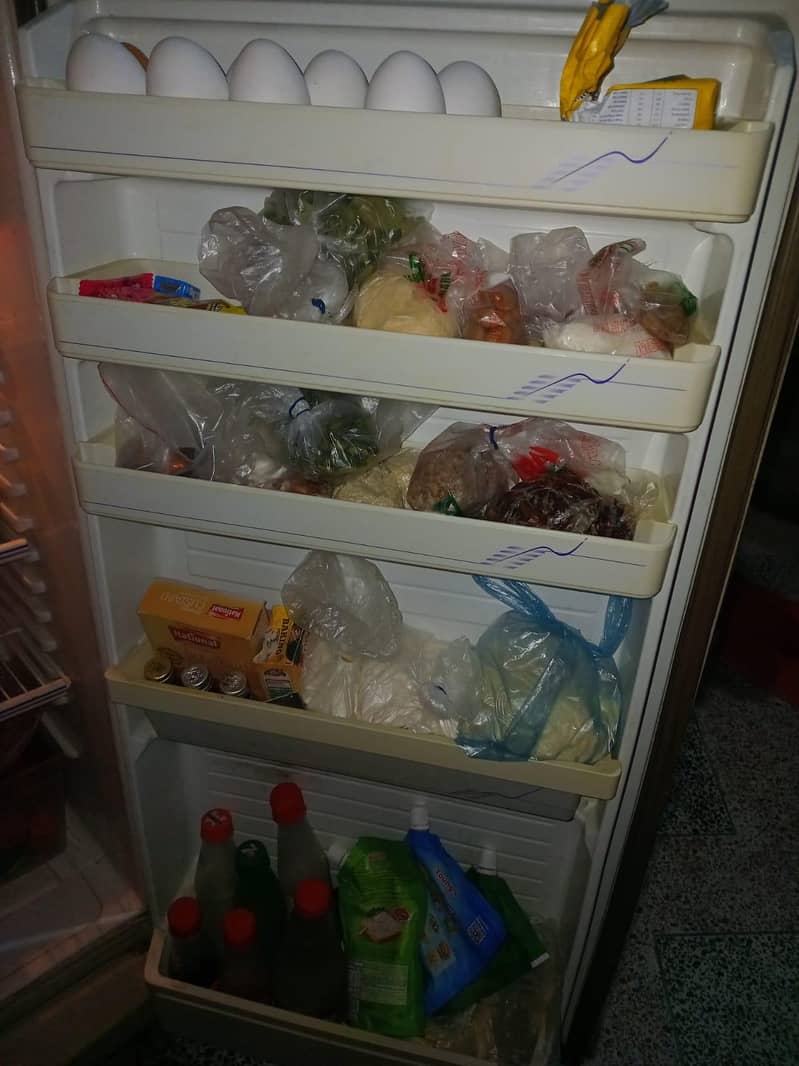 fridge 5