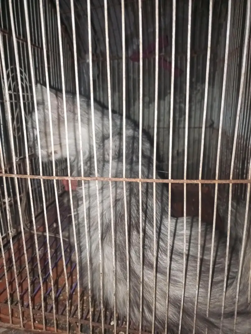 urgent sell — photo 2
