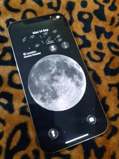 Apple iPhone 12 Pro Max