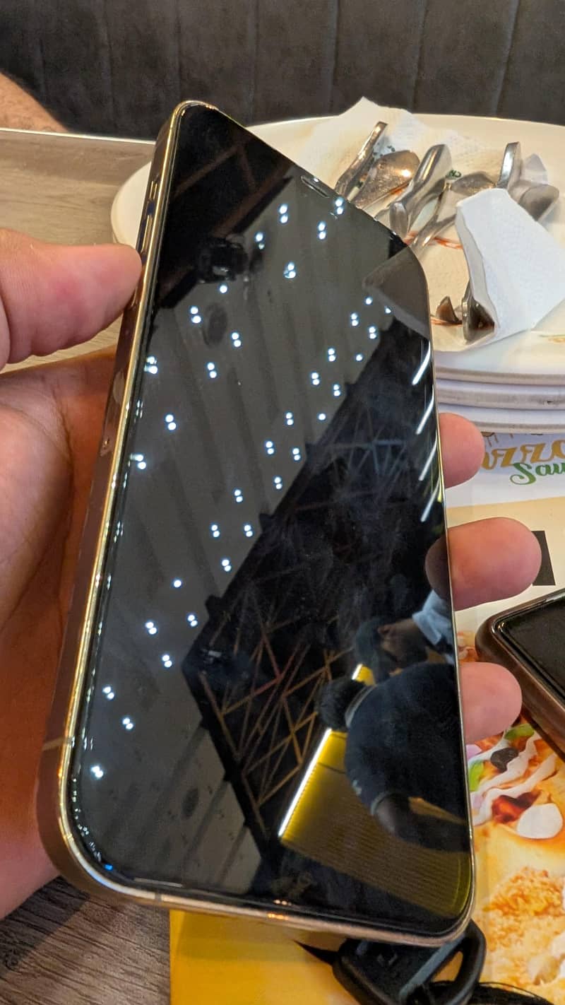 Apple iPhone 12 Pro Max 1