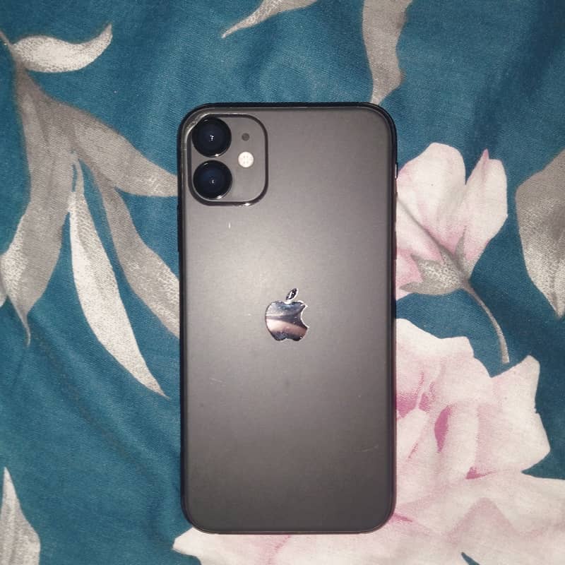 Apple iPhone 11 0
