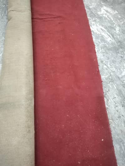 Red Carpet 12' x 9'
