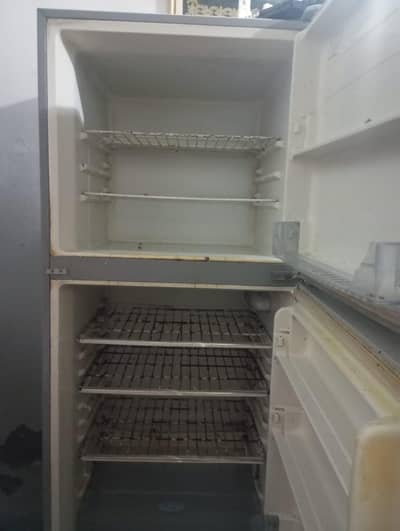 Freezer Hairer