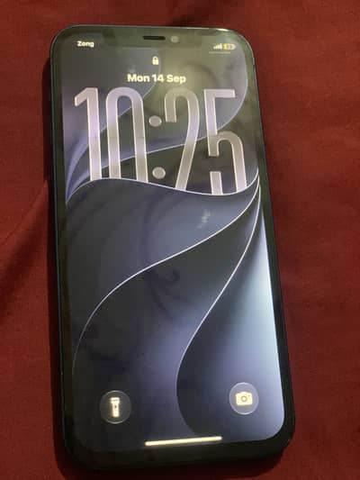 iPhone 12 PTA Approved